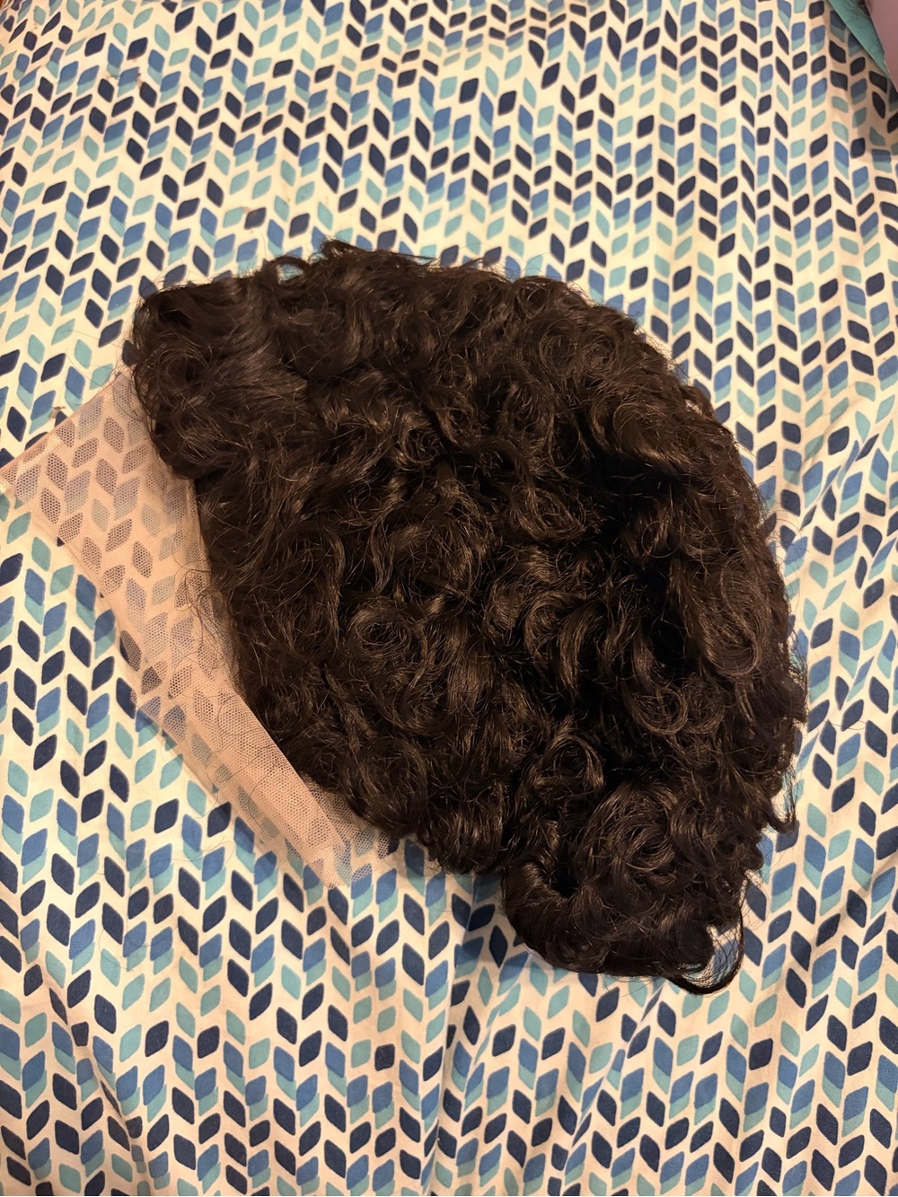 Black Curly Lace Front Wig - Natural Black Women's Hairpiece